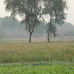 Vraj-Yatra-2014- (327)